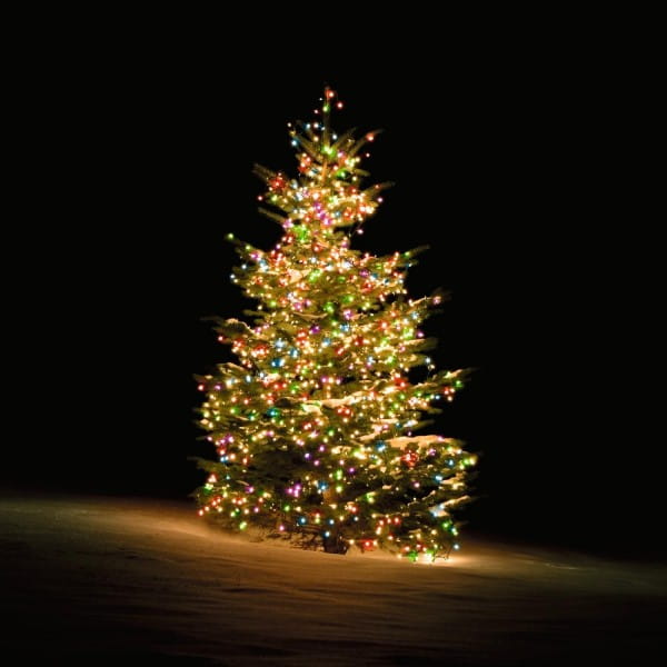 Smarte Weihnachtsbaum-Lichterkette RGB (TUYA System, Smart Home, mit 300 LEDs, 2 m, WiFi kompatibel, mehrfarbig RGB, IP44)